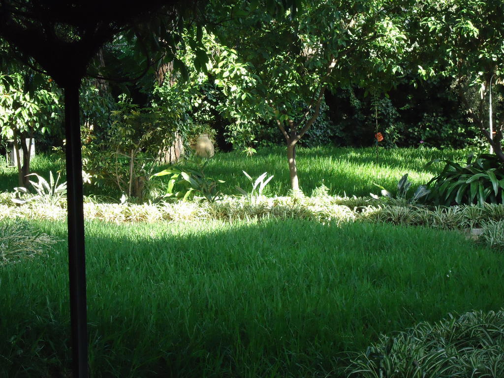 B&B Cottage Dei Consoli Sant'Agata Li Battiati Bagian luar foto